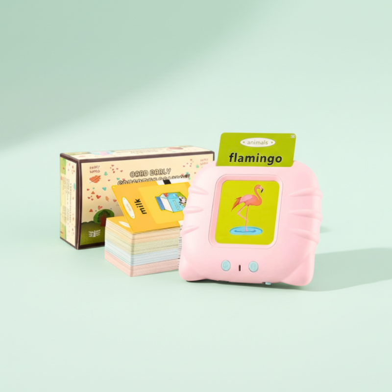 Educational Flash Card Reader